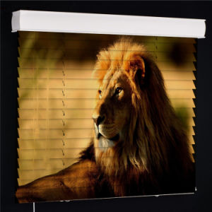 Lion Venetian